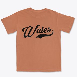 Wales Utah Vintage Team Premium Heavyweight T-shirt