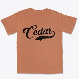 Cedar Michigan Vintage Team Premium Heavyweight T-shirt