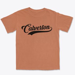 Calverton New York Vintage Team Premium Heavyweight T-shirt