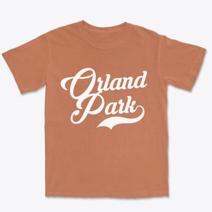 Orland Park Illinois Vintage Team Premium Heavyweight T-shirt