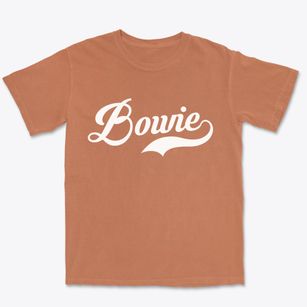 Bowie Maryland Vintage Team Premium Heavyweight T-shirt
