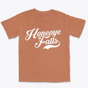 Honeoye Falls New York Vintage Team Premium Heavyweight T-shirt