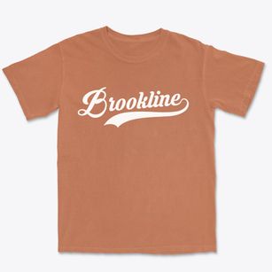 Brookline Vermont Vintage Team Premium Heavyweight T-shirt