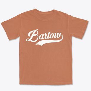 Bartow West Virginia Vintage Team Premium Heavyweight T-shirt