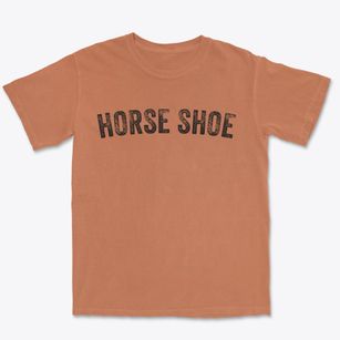Horse Shoe North Carolina Timeless Retro Premium Heavyweight T-shirt