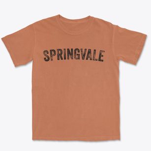 Springvale Wisconsin Timeless Retro Premium Heavyweight T-shirt