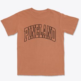 Pineland Florida Trendy Block Premium Heavyweight T-shirt
