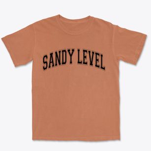 Sandy Level Virginia Varsity Premium Heavyweight T-shirt