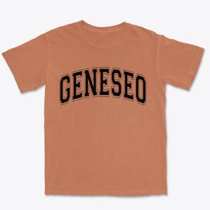 Geneseo Kansas Varsity Premium Heavyweight T-shirt