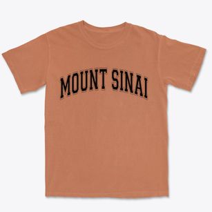 Mount Sinai New York Varsity Premium Heavyweight T-shirt