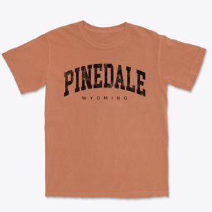 Pinedale Wyoming Urban Vibe Premium Heavyweight T-shirt