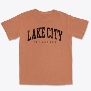 Lake City Tennessee Urban Vibe Premium Heavyweight T-shirt