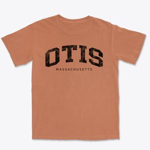 Otis Massachusetts Urban Vibe Premium Heavyweight T-shirt