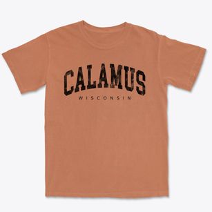 Calamus Wisconsin Urban Vibe Premium Heavyweight T-shirt