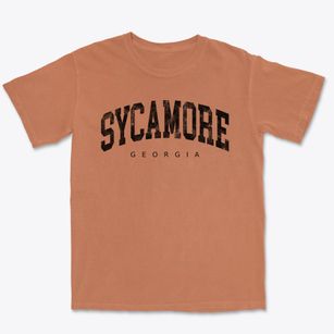Sycamore Georgia Urban Vibe Premium Heavyweight T-shirt