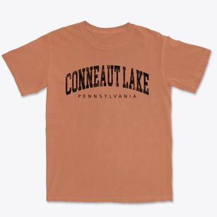 Conneaut Lake Pennsylvania Urban Vibe Premium Heavyweight T-shirt
