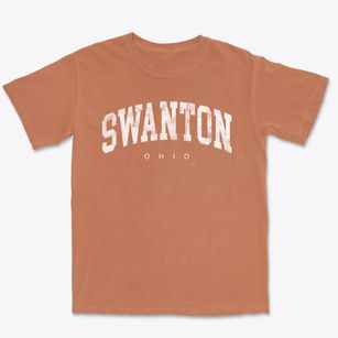 Swanton Ohio Urban Vibe Premium Heavyweight T-shirt
