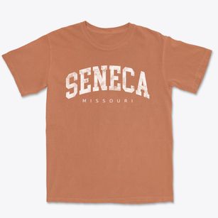 Seneca Missouri Urban Vibe Premium Heavyweight T-shirt