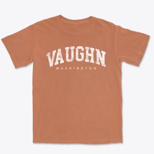 Vaughn Washington Urban Vibe Premium Heavyweight T-shirt