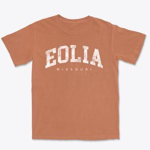 Eolia Missouri Urban Vibe Premium Heavyweight T-shirt
