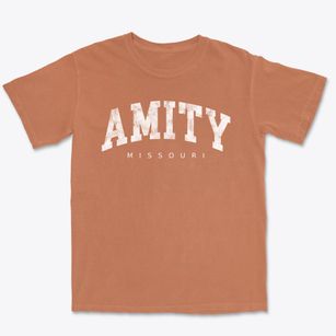 Amity Missouri Urban Vibe Premium Heavyweight T-shirt