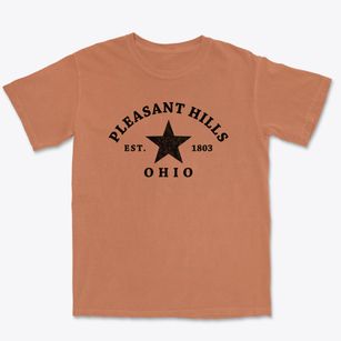 Pleasant Hills Ohio Star Premium Heavyweight T-shirt