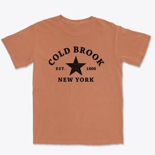 Cold Brook New York Star Premium Heavyweight T-shirt