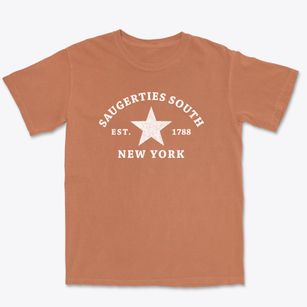 Saugerties South New York Star Premium Heavyweight T-shirt