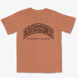 Elizabethtown Pennsylvania Inline Premium Heavyweight T-shirt