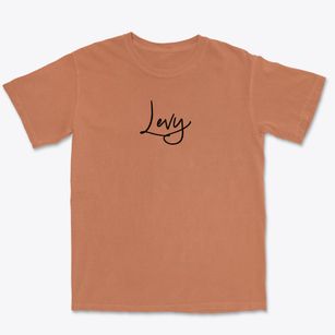 Levy South Carolina Freestyle Premium Heavyweight T-shirt