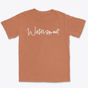 Watersmeet Michigan Freestyle Premium Heavyweight T-shirt