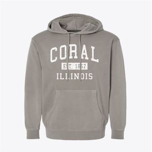 Coral Illinois Classic Established Pigment-Dyed Hoodie