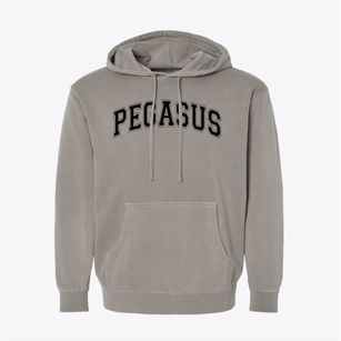 Pegasus Charter School Varsity Arch Pigment-Dyed Hoodie