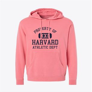 Harvard Illinois Athletic Dept Pigment-Dyed Hoodie