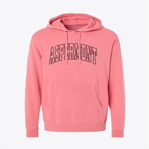 Aspermont Texas Trendy Block Pigment-Dyed Hoodie