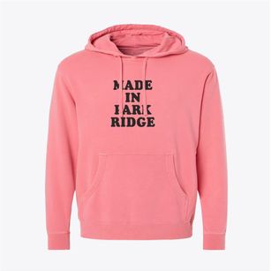 Park Ridge Illinois Classic 70s Pigment-Dyed Hoodie