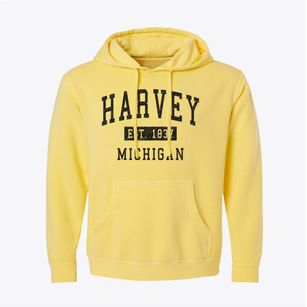 Harvey Michigan Classic Established Pigment-Dyed Hoodie