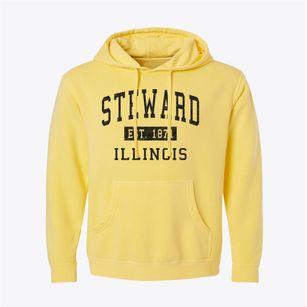 Steward Illinois Classic Established Pigment-Dyed Hoodie