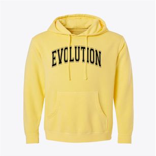 Evolution Academy Charter School Varsity Arch Pigment-Dyed Hoodie