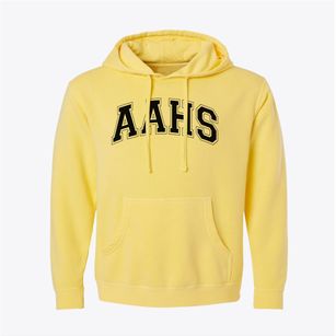 Academy Of Allied Health & Science Varsity Arch Pigment-Dyed Hoodie