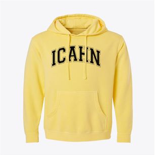 Icahn Charter School Varsity Arch Pigment-Dyed Hoodie
