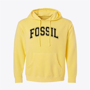 Fossil Elementary School Varsity Arch Pigment-Dyed Hoodie