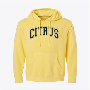Citrus Elementary School Varsity Arch Pigment-Dyed Hoodie
