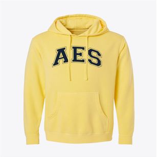 Academy Of Environmental Science Varsity Arch Pigment-Dyed Hoodie