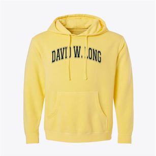 David W. Long Elementary School Varsity Arch Pigment-Dyed Hoodie
