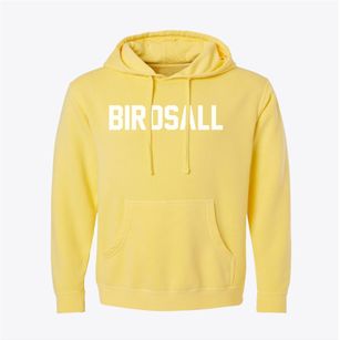 Birdsall New York Classic Block Pigment-Dyed Hoodie