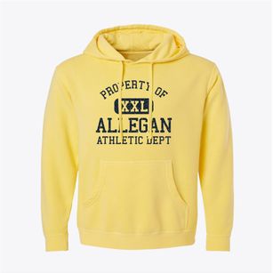 Allegan Michigan Athletic Dept Pigment-Dyed Hoodie