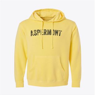 Aspermont Texas Timeless Retro Pigment-Dyed Hoodie