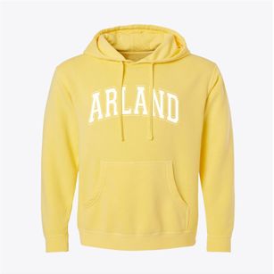 Arland Wisconsin Varsity Pigment-Dyed Hoodie