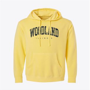 Woodland Illinois Urban Vibe Pigment-Dyed Hoodie